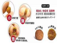骥子龙文融资租赁（深圳）有限公司