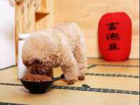 骥子龙文融资租赁（深圳）有限公司