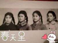 骥子龙文融资租赁（深圳）有限公司
