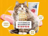 骥子龙文融资租赁（深圳）有限公司