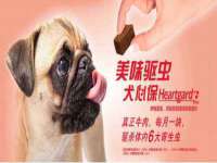 骥子龙文融资租赁（深圳）有限公司