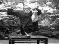 骥子龙文融资租赁（深圳）有限公司