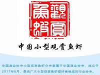 骥子龙文融资租赁（深圳）有限公司