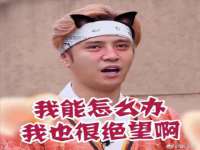 骥子龙文融资租赁（深圳）有限公司