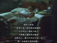 骥子龙文融资租赁（深圳）有限公司