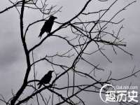 骥子龙文融资租赁（深圳）有限公司