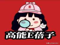 骥子龙文融资租赁（深圳）有限公司