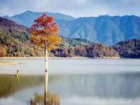 骥子龙文融资租赁（深圳）有限公司