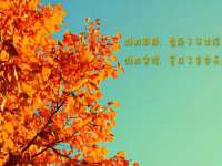 骥子龙文融资租赁（深圳）有限公司