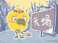 骥子龙文融资租赁（深圳）有限公司