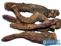 骥子龙文融资租赁（深圳）有限公司