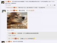 骥子龙文融资租赁（深圳）有限公司