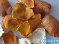 骥子龙文融资租赁（深圳）有限公司