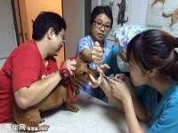 骥子龙文融资租赁（深圳）有限公司