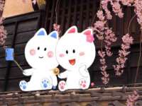 骥子龙文融资租赁（深圳）有限公司