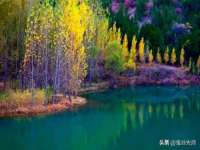 骥子龙文融资租赁（深圳）有限公司