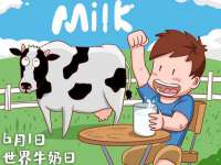 骥子龙文融资租赁（深圳）有限公司