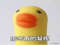 骥子龙文融资租赁（深圳）有限公司