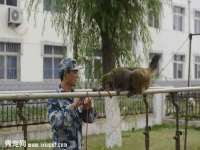 骥子龙文融资租赁（深圳）有限公司