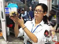 骥子龙文融资租赁（深圳）有限公司