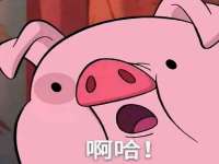 骥子龙文融资租赁（深圳）有限公司