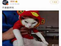 骥子龙文融资租赁（深圳）有限公司