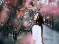 骥子龙文融资租赁（深圳）有限公司