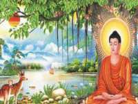 骥子龙文融资租赁（深圳）有限公司