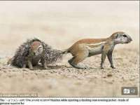骥子龙文融资租赁（深圳）有限公司