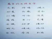 骥子龙文融资租赁（深圳）有限公司