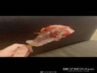 骥子龙文融资租赁（深圳）有限公司